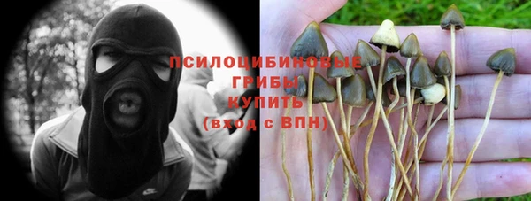 шишки Ладушкин