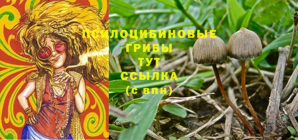 шишки Ладушкин